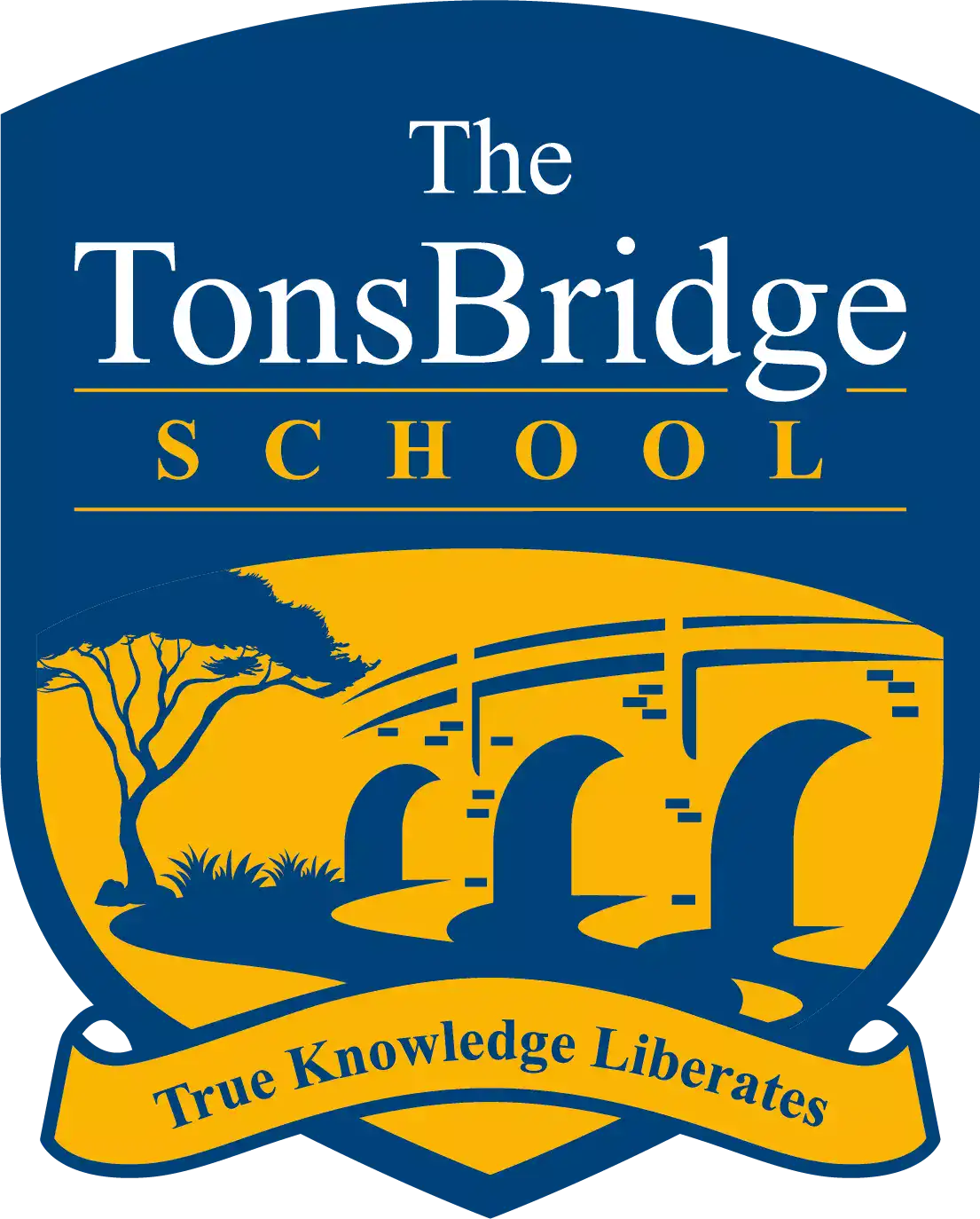 The TonsBridge